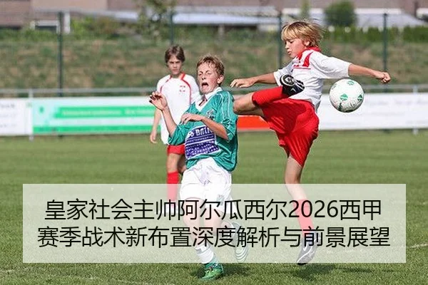 huang-jia-she-hui-zhu-shuai-a-er-gua-xi-er-xi-jia-sai-ji-zhan-shu-xin-bu-zhi-shen-du-jie-xi-yu-qian-jing-zhan-wang-2-468.jpg